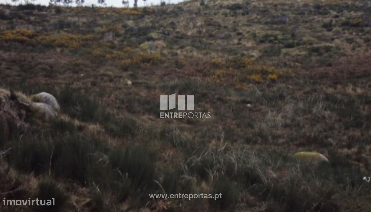 48000m² Land in Marco de Canaveses, Portugal No. 56220