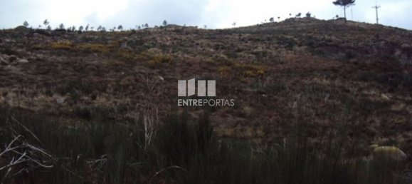 48000m² Land in Marco de Canaveses, Portugal No. 56220 5