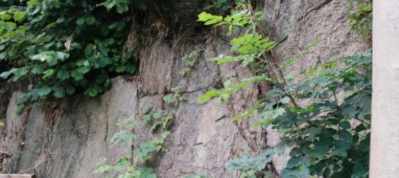 6-Zimmer Haus in Bautzen, Germany, Nr. 276065 5