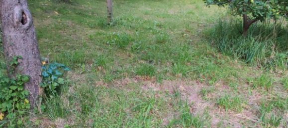 6-Zimmer Haus in Bautzen, Germany, Nr. 276065 4