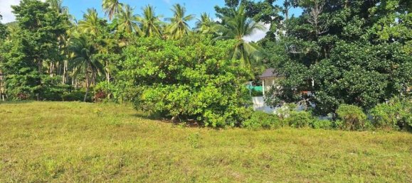 Grundstück in Wiang Sa, Thailand, Nr. 13289 6