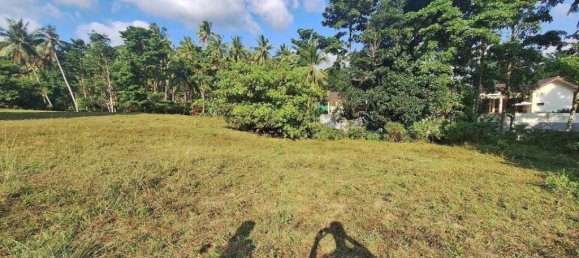 Grundstück in Wiang Sa, Thailand, Nr. 13289 5