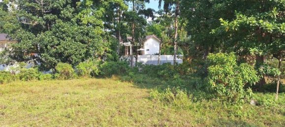 Grundstück in Wiang Sa, Thailand, Nr. 13289 2