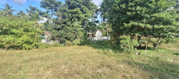 Grundstück in Wiang Sa, Thailand, Nr. 13289 4