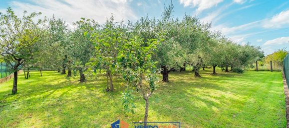 Terrain à Massa, Italy 700m² No. 349284 3