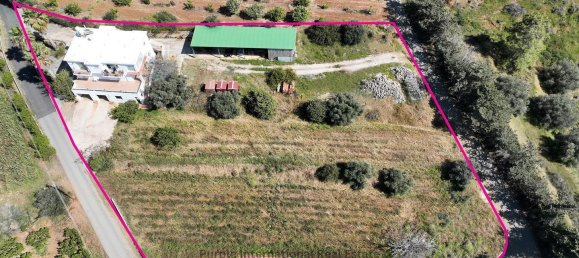 4 Schlafzimmer Villa in Nea Dimmata, Cyprus, Nr. 23043 3