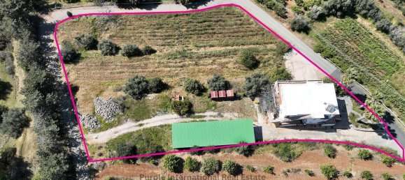 4 Schlafzimmer Villa in Nea Dimmata, Cyprus, Nr. 23043 5