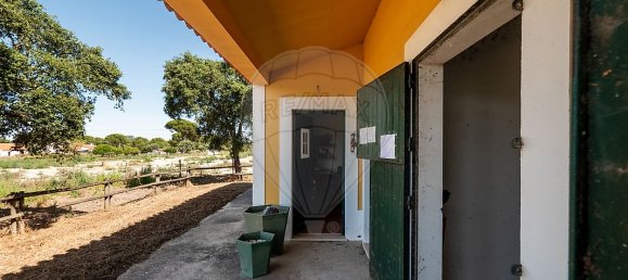 6 غرف نوم قلاع في Coruche, Portugal رقم 26299 9