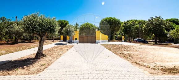 6 غرف نوم قلاع في Coruche, Portugal رقم 26299 4