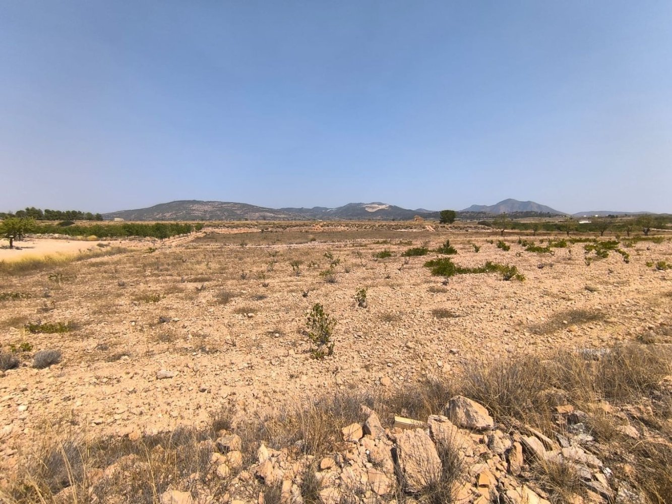 Terreno en Pinoso, Spain 13625 m² No. 205658