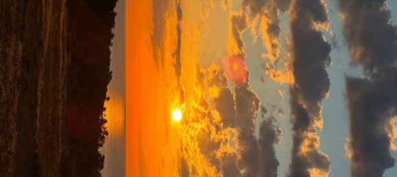 2 bedrooms Apartment in Torrevieja, Spain No. 181538 29