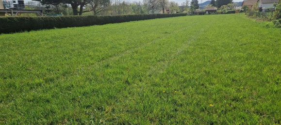 Terrain à Corcieux, France No. 260899 4