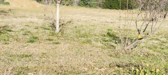  قطعة أرض في Saint-Alexandre, France رقم 98735 19