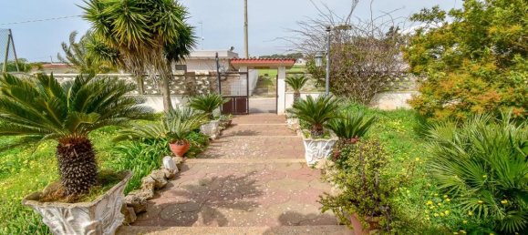 3 rooms Villa in Porto Cesareo, Italy No. 41061 2