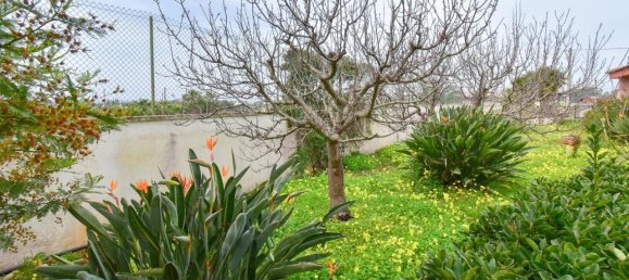 3 rooms Villa in Porto Cesareo, Italy No. 41061 30