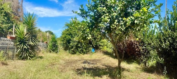 7 chambres Maison à Monte di Procida, Italy No. 340036 29