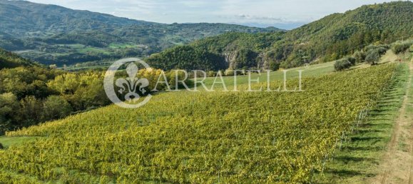 32 bedrooms House in Florence, Italy No. 105635 45