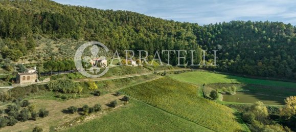 32 bedrooms House in Florence, Italy No. 105635 37