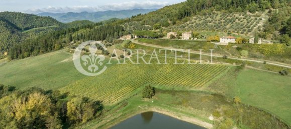 32 bedrooms House in Florence, Italy No. 105635 41