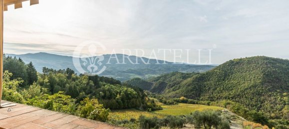 32 bedrooms House in Florence, Italy No. 105635 35