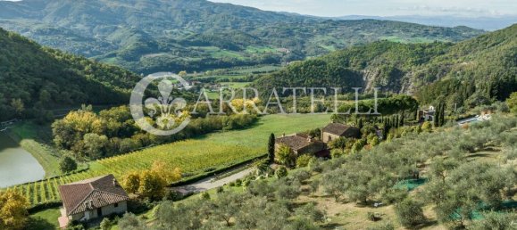 32 bedrooms House in Florence, Italy No. 105635 12