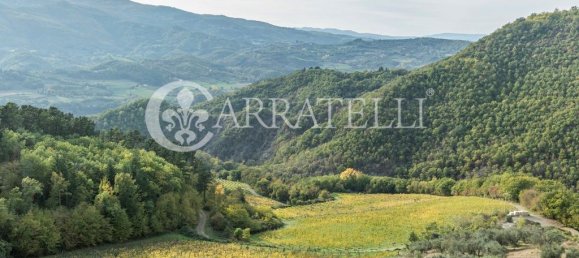 32 bedrooms House in Florence, Italy No. 105635 46