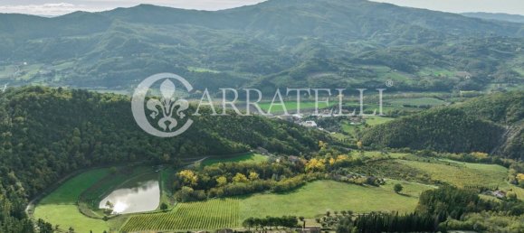 32 bedrooms House in Florence, Italy No. 105635 43