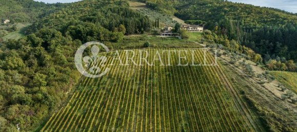 32 bedrooms House in Florence, Italy No. 105635 38