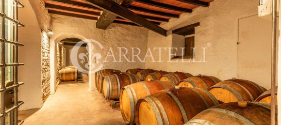 32 bedrooms House in Florence, Italy No. 105635 32