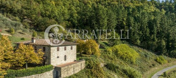 32 bedrooms House in Florence, Italy No. 105635 9