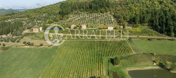 32 bedrooms House in Florence, Italy No. 105635 42