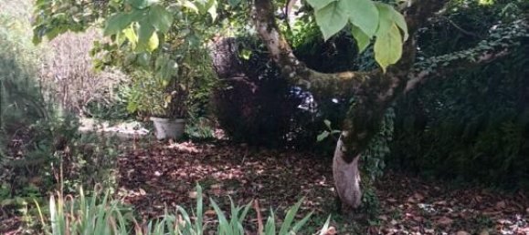 4 bedrooms House in Lons-le-Saunier, France No. 318162 9