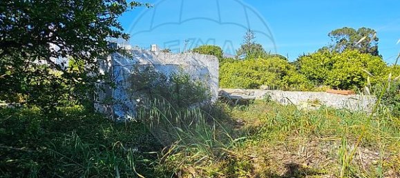 5 bedrooms House in Olhao, Portugal No. 29080 23