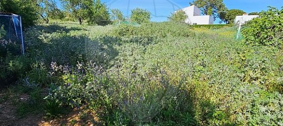 5 bedrooms House in Olhao, Portugal No. 29080 17