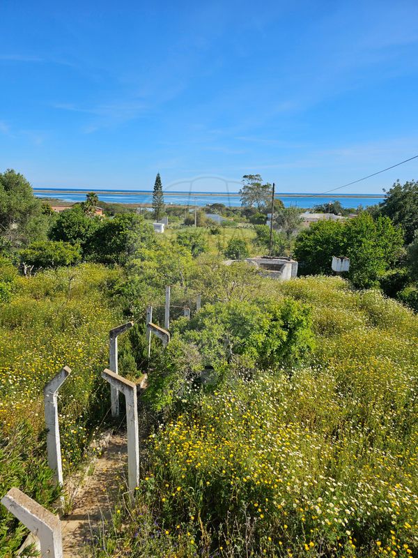 5 bedrooms House in Olhao, Portugal No. 29080