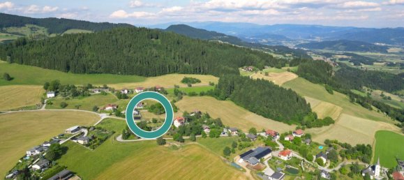 Grundstück in Liebenfels, Austria, Nr. 238638 3