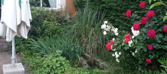 3 Schlafzimmer Haus in San Cristobal de la Cuesta, Spain, Nr. 76319 20