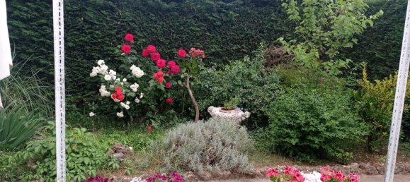 3 Schlafzimmer Haus in San Cristobal de la Cuesta, Spain, Nr. 76319 19