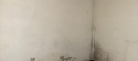 13 rooms House in Valeggio sul Mincio, Italy No. 147652 2