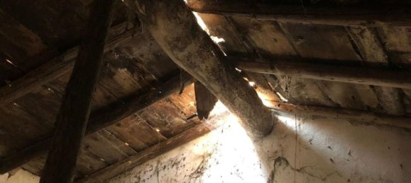 13 rooms House in Valeggio sul Mincio, Italy No. 147652 3