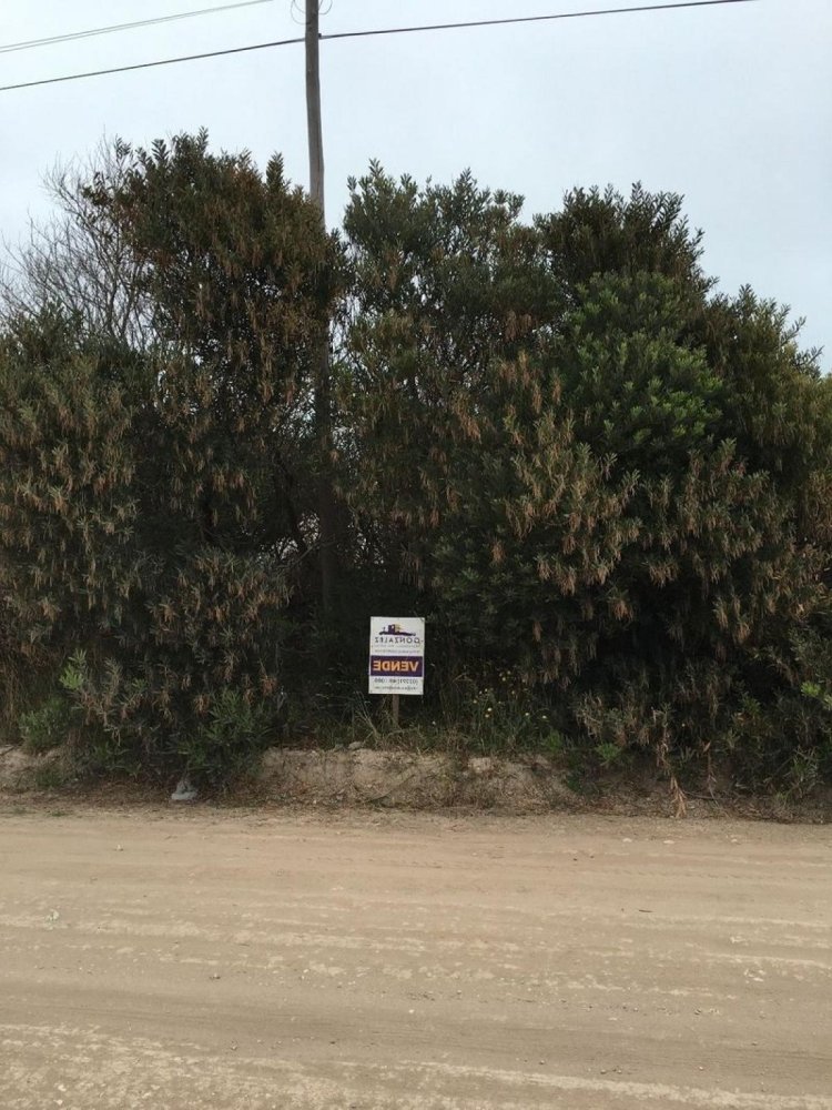  Land in Mar del Plata, Argentina No. 121486