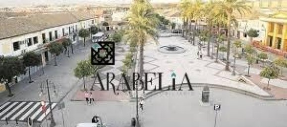 3 Schlafzimmer Haus in Cordoba, Spain, Nr. 161835 4