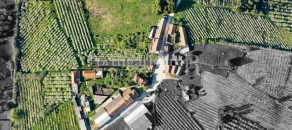 16 غرف نوم منزل في Bombarral, Portugal رقم 146234 39