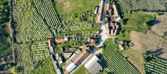 16 غرف نوم منزل في Bombarral, Portugal رقم 146234 40