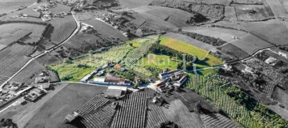 16 غرف نوم منزل في Bombarral, Portugal رقم 146234 38