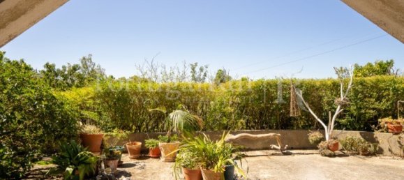 16 غرف نوم منزل في Bombarral, Portugal رقم 146234 18