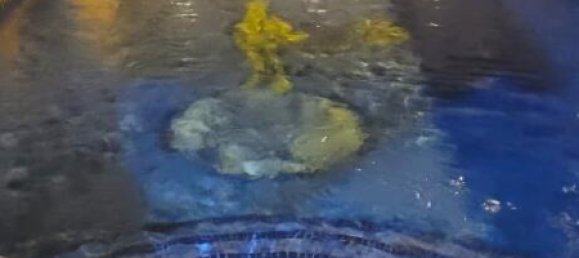 2 chambres Villa à Alicante, Spain No. 171461 36