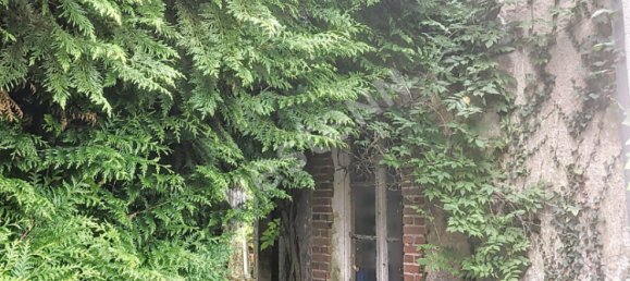 4-salle Maison à Saint-Claude-de-Diray, France No. 241990 4