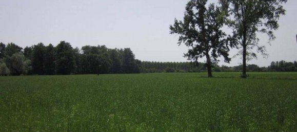 3 غرف نوم شقة في Robecco sul Naviglio, Italy رقم 276226 9