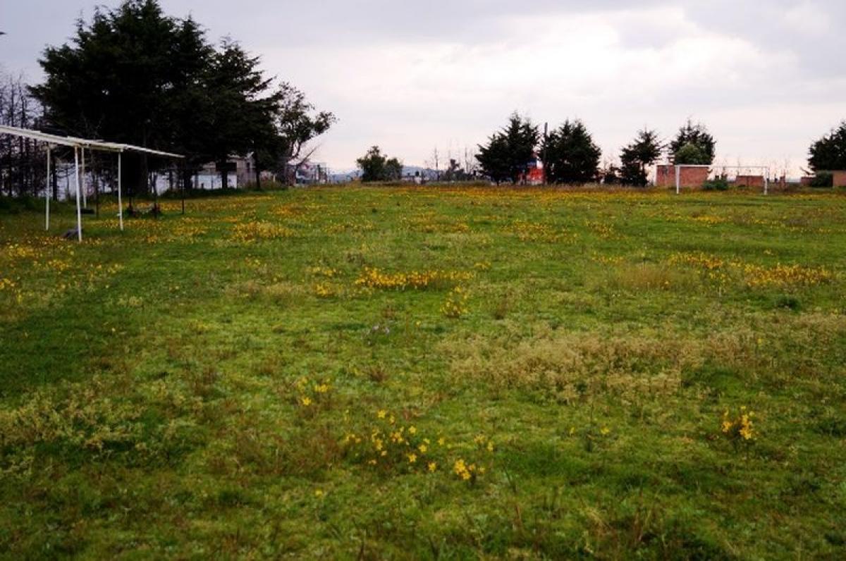  Land in San Buenaventura, Mexico No. 205277